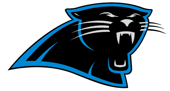 Carolina Panthers 1995-2011 Primary Logo iron on transfers for T-shirts